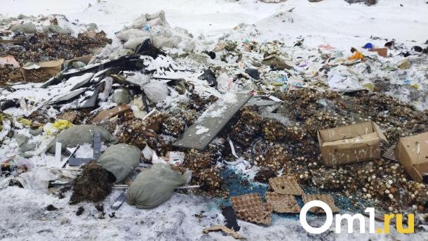 Стало известно, кому придется убирать свалку тухлых яиц в Омске