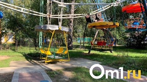 В Омске продают аттракционы «Зелёного острова»