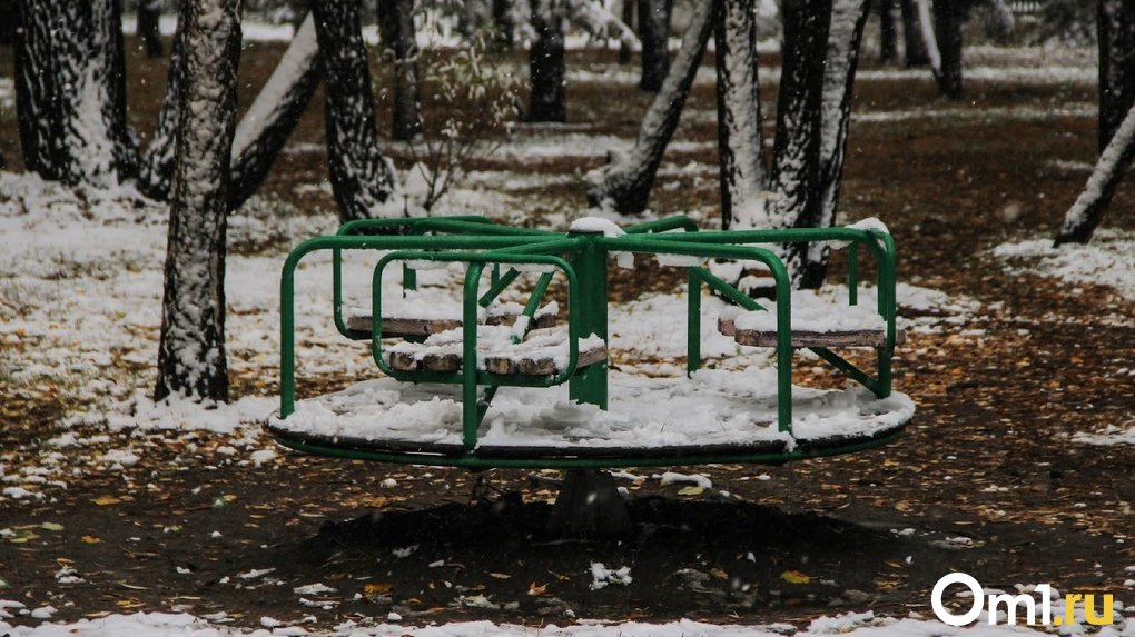 В Омске на выходных выпадет первый снег