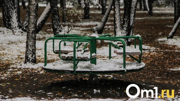В Омске на выходных выпадет первый снег
