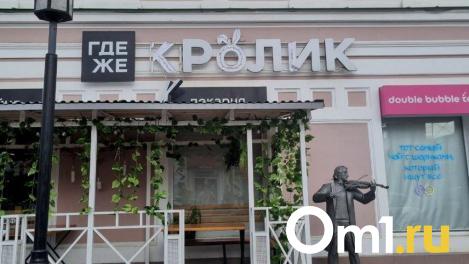 Полицейские выяснят, кто унёс букву и кроличьи уши с вывески омского ресторана