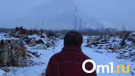 На Ленинском полигоне Омска заканчивают рекультивацию самой крупной свалки