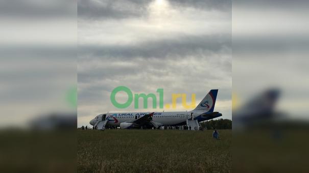 Самолёт, экстренно приземлившийся в Новосибирской области, выпустили около 20 лет назад