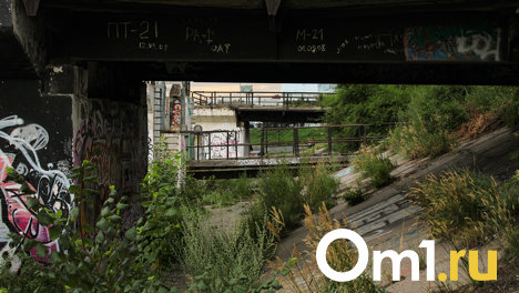 Прокуратура хочет вернуть причалы омского Речного вокзала государству