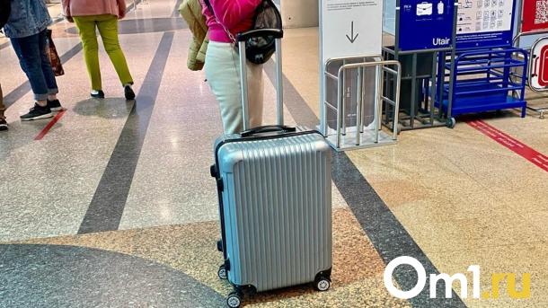 В Омске могут запустить прямой рейс во Вьетнам с ноября 2025 года