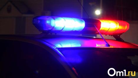 Повторное нарушение: омич заплатил крупную сумму за «пьяную езду»