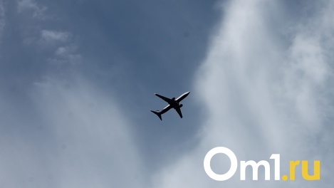 У самолёта, летевшего из Таиланда в Омск, случились проблемы при заходе на посадку