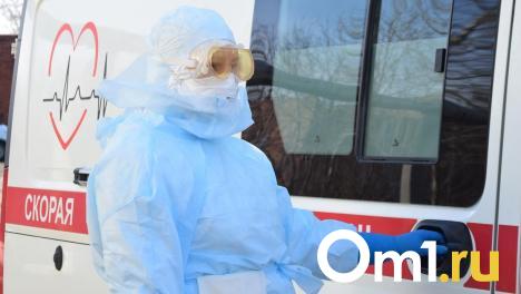 Редкие инфекции проникают в Новосибирскую область из-за туристов