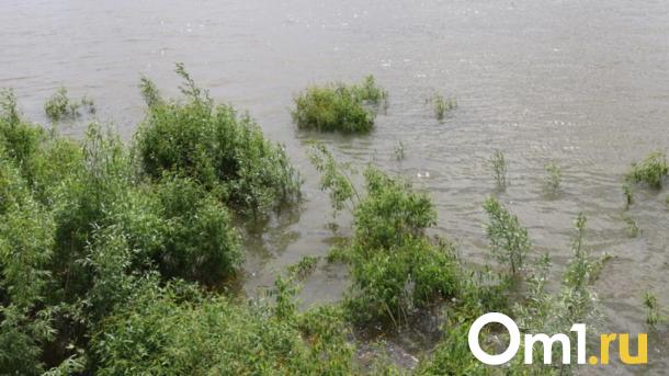 Из-за угрозы затопления в Омской области ввели режим повышенной готовности