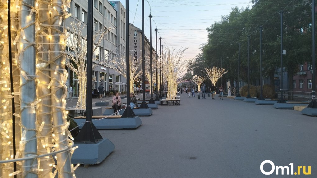 Андрей Травников поддержал создание пешеходной улицы в Новосибирске
