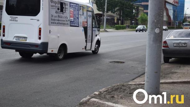 В Омске вдоль отремонтированных дорог появятся 350 деревьев
