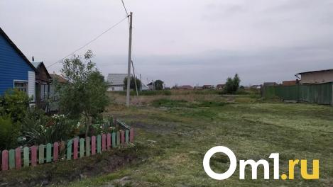 В омской деревне нашли тело мужчины — убийцей оказалась его сестра