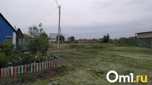 В омской деревне нашли тело мужчины — убийцей оказалась его сестра