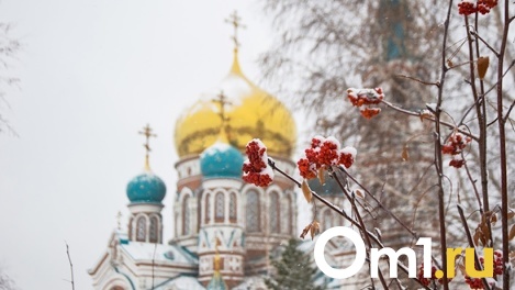 С божьей помощью. Минздрав выпустил методичку для посещения священниками больных во время пандемии