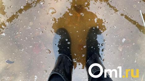 Омичи заявили об опасности обрушения дома из-за затопленного подвала