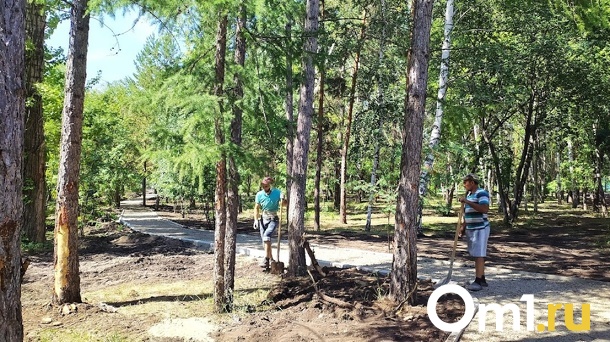 В Омске ради реконструкции дорог вырубят больше 300 деревьев