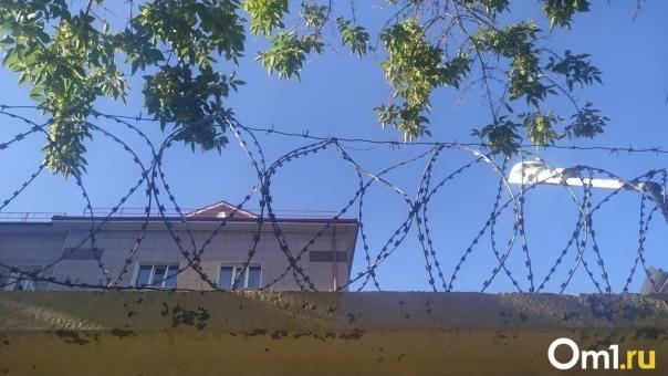 Двух сбежавших из колонии заключённых поймали с помощью дрона в Новосибирской области