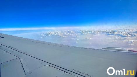 В Омске пьяного актёра не пустили в самолёт