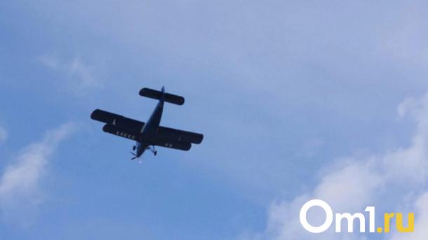 Самолёт, разбившийся в Афганистане, принадлежал уроженке Омска