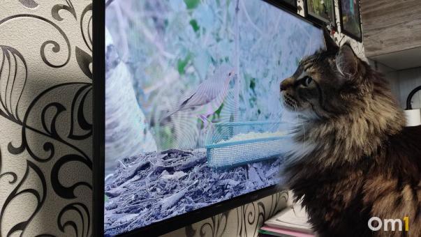 Часть омичей на этой неделе столкнётся с перебоями в телевещании