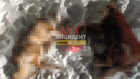 «Сердце разрывается»: в Омске неизвестный убил и выбросил двух собак
