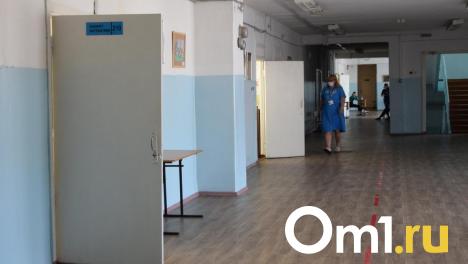 В омском Минобре ответили на жалобу о безграмотности учителей в сельской школе