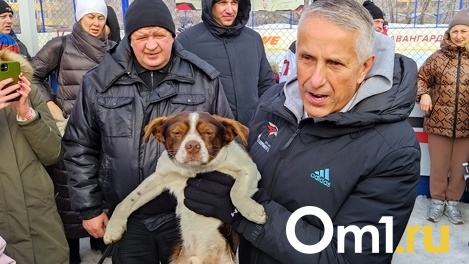 На старте плей-офф Боб Хартли прилетел в Омск: рассказываем, чем он занимался