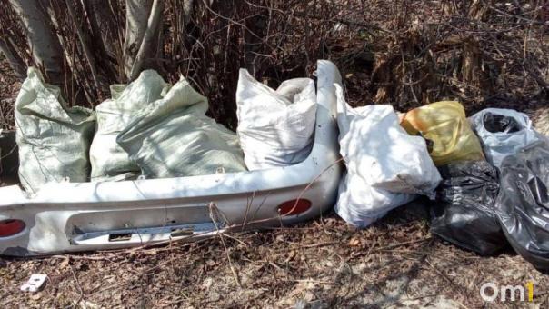 Возле ДК под Новосибирском образовался стихийный навал мусора