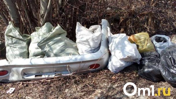 Возле ДК под Новосибирском образовался стихийный навал мусора