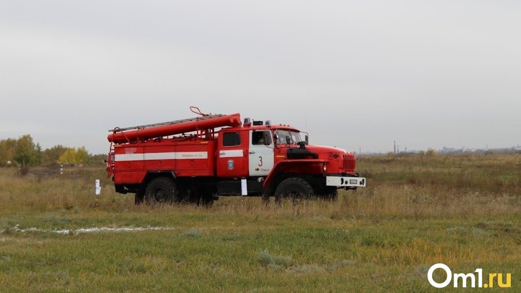 В Омской области в два раза расширят минерализованные полосы для защиты от огня