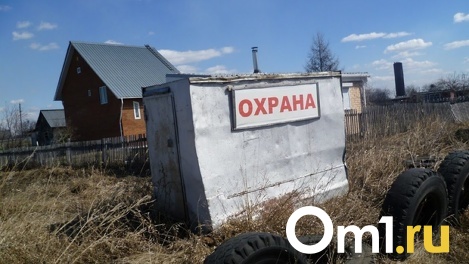Омскую охранную фирму «Голубые олени» обвинили в сговоре с конкурентами