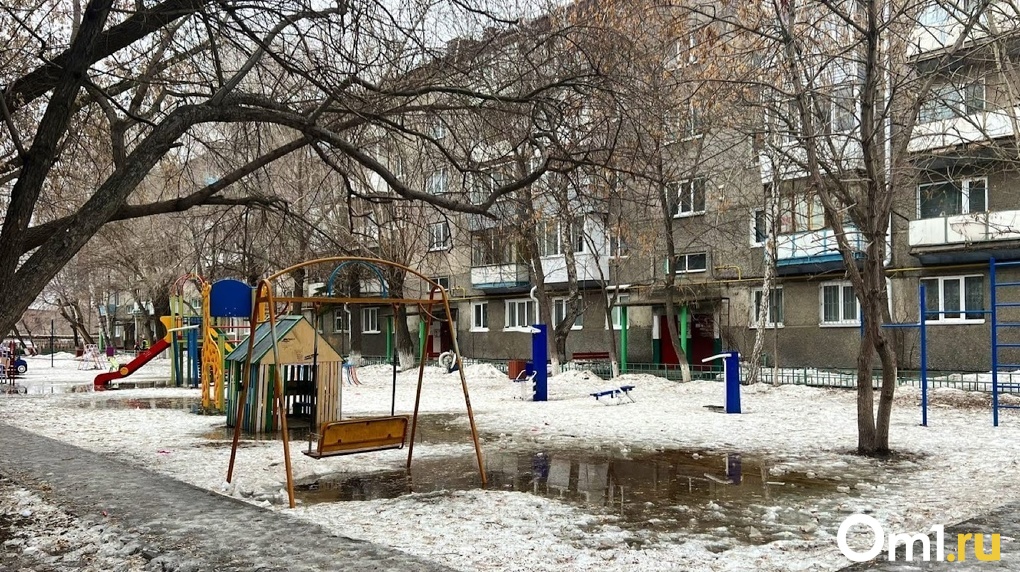 В Омске председателя ТСЖ наказали за смерть рабочего во время чистки снега