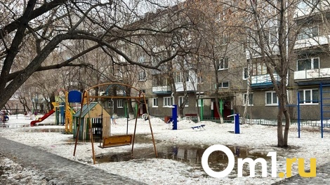 В Омске председателя ТСЖ наказали за смерть рабочего во время чистки снега
