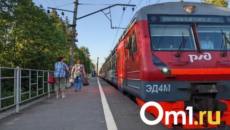 Омские электрички временно будут ездить по другому расписанию
