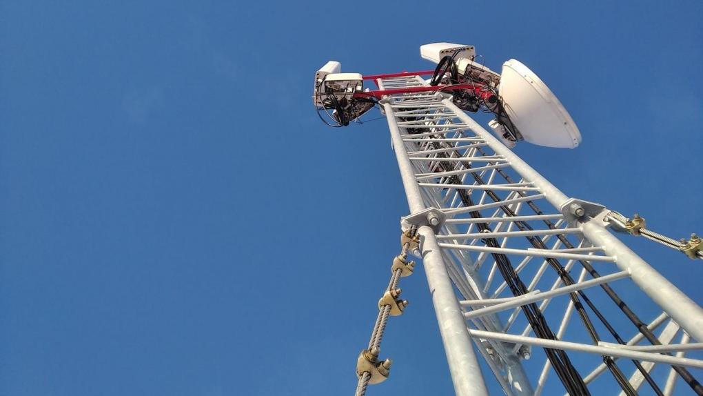 От тиктоков до Одноклассников: Т2 выяснила, что качают в омской глубинке