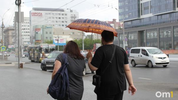 Дожди и пасмурное небо ждут новосибирцев на текущей неделе
