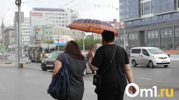 Дожди и пасмурное небо ждут новосибирцев на текущей неделе