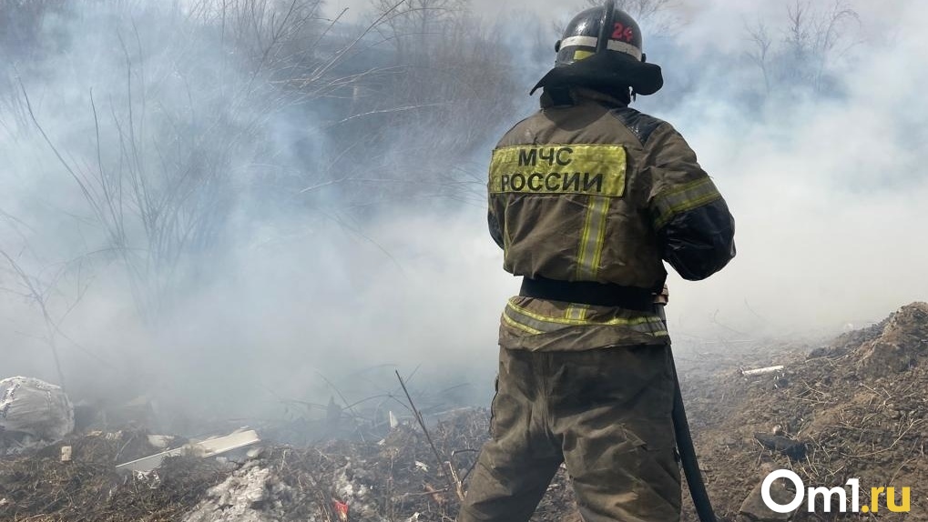 Новосибирская область окутана огнём и дымом из-за природных пожаров