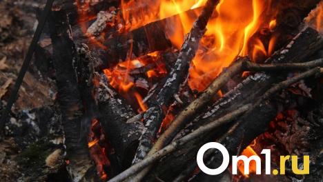 Названы районы Омской области, где установят противопожарный режим