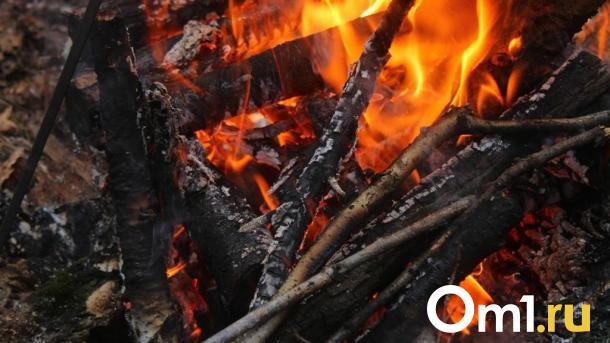 Названы районы Омской области, где установят противопожарный режим