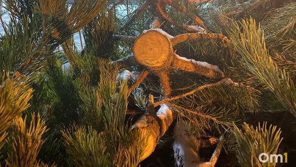 В Омской области водитель школьного автобуса сбил сосной дорожный знак