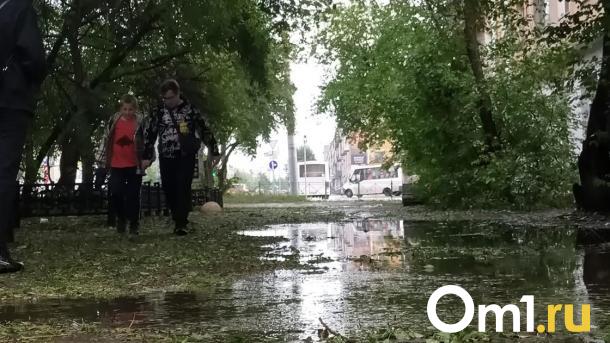 Торговая палатка чуть не убила омичку посреди дня