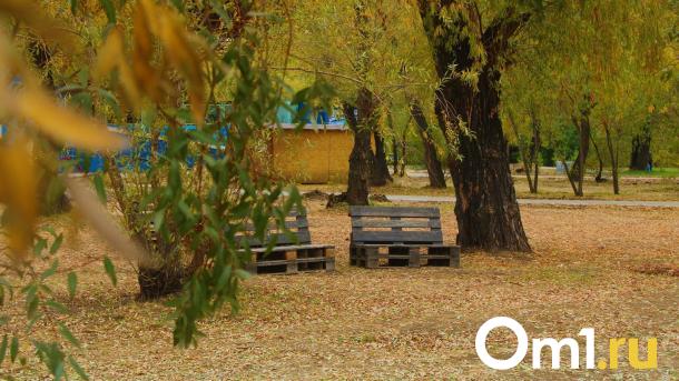 Вандалы разнесли часть сквера, благоустроенного несколько лет назад