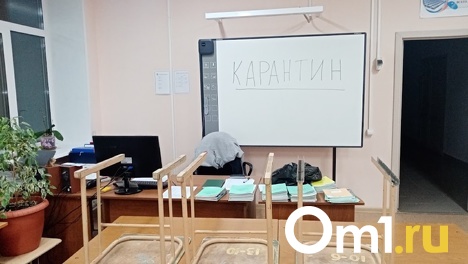 В Минпросвещения РФ прокомментировали слухи о тотальном дистанте всех российских школ
