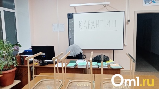 В Минпросвещения РФ прокомментировали слухи о тотальном дистанте всех российских школ