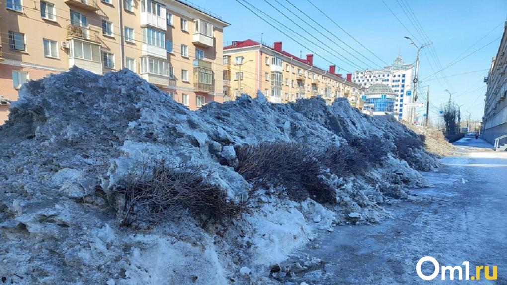 В Омске изменятся правила уборки территории
