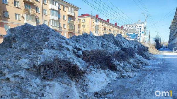 В Омске изменятся правила уборки территории