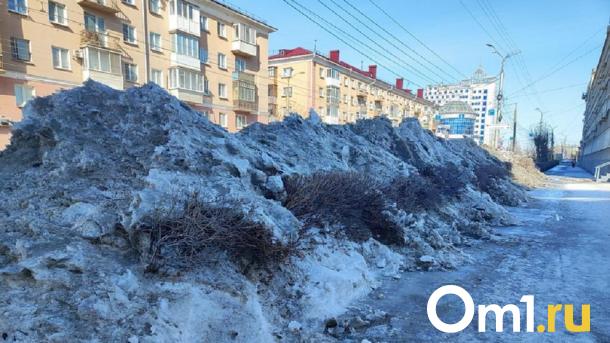 В Омске изменятся правила уборки территории