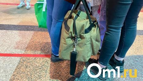 Жители Омска предпочитают малые города для путешествий в новогодние каникулы