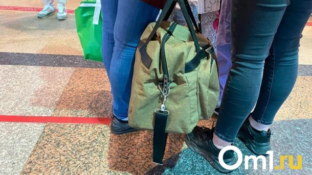 Жители Омска предпочитают малые города для путешествий в новогодние каникулы